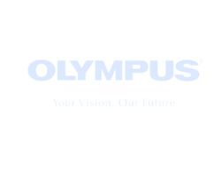Компания «Olympus»
