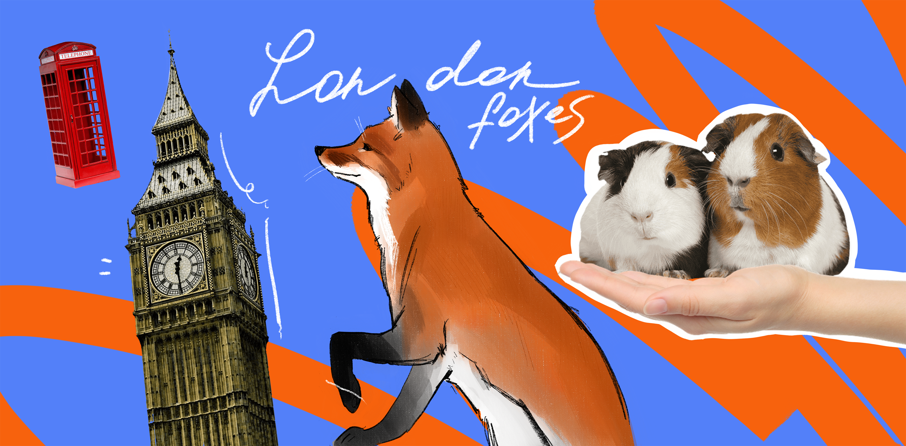 Откуда лисы в Лондоне? Объясняем на пальцах